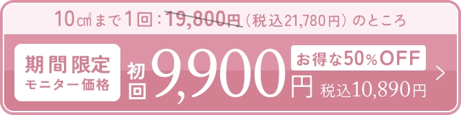 期間限定 モニター価格で申し込む