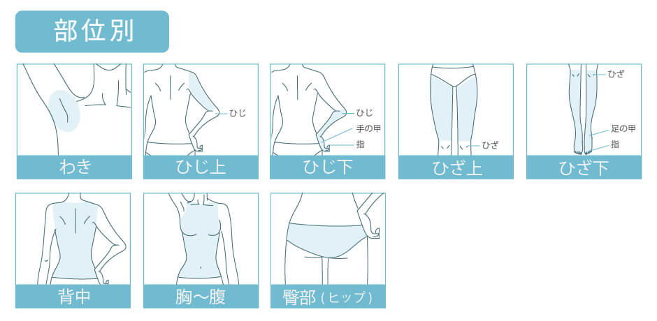 部分医療脱毛のイラスト わき ひじ上 ひじ下 ひざ上 ひざ下 背中 胸〜腹 臀部(ヒップ)