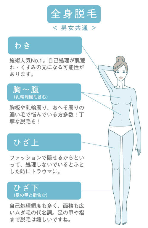 脱毛全身 イラスト 男女共通 わき 胸〜腹 ひざ上 ひざ下(ひざ、足の甲と指含む) 背中(肩、胸、腰) ひじ上
ひじ下(ひじ、手の甲と指含む 臀部(Oライン除く)