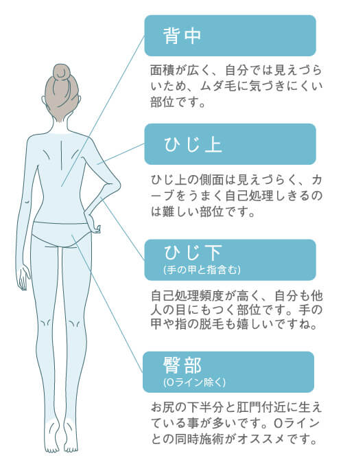 医療脱毛全身の男女共通イラスト わき 胸〜腹 ひざ上 ひざ下(ひざ、足の甲と指含む) 背中(肩、胸、腰) ひじ上
ひじ下(ひじ、手の甲と指含む 臀部(Oライン除く)