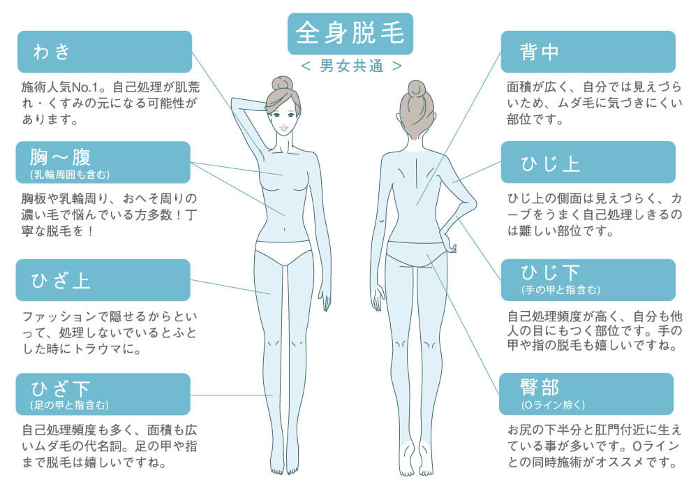 医療脱毛全身の男女共通イラスト わき 胸〜腹 ひざ上 ひざ下(ひざ、足の甲と指含む) 背中(肩、胸、腰) ひじ上 ひじ下(ひじ、手の甲と指含む 臀部(Oライン除く)